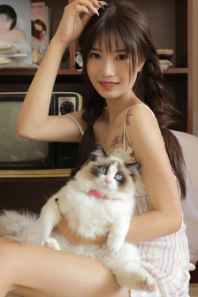 金刚葫芦娃全集播放